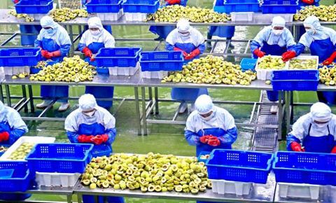 【寿光】寿光打造预制菜全产业链条
