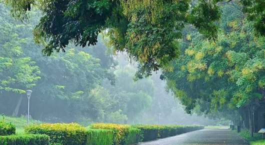 【潍坊寿光】秋雨送秋寒 秋分重保暖