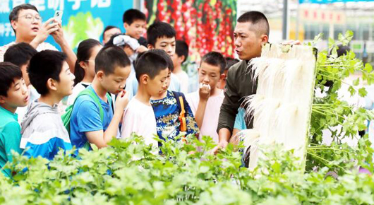 【潍坊寿光】“双节”叠加氛围浓 文旅市场活力足