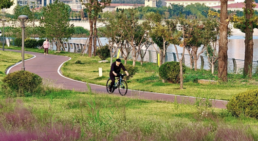 【潍坊寿光】开窗见绿意 出门入游园